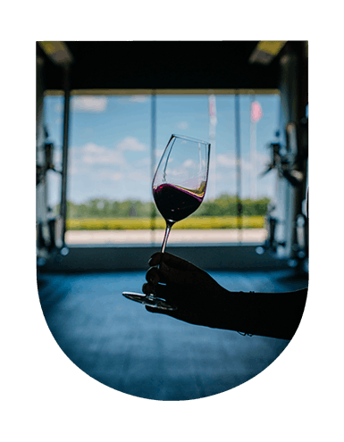 Invest in wines